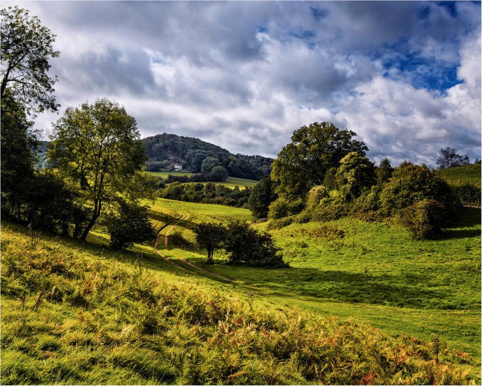 Owlpen Manor Cottages Uley Luaran gambar